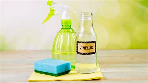 is malt vinegar good for cleaning